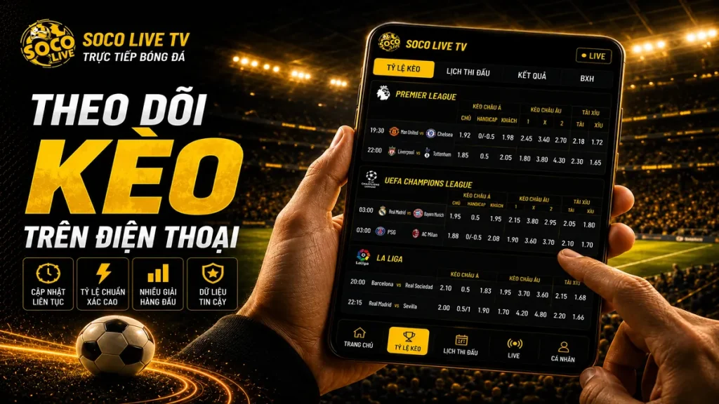 Theo dõi tỷ lệ kèo bóng đá tại Socolive trên điện thoại